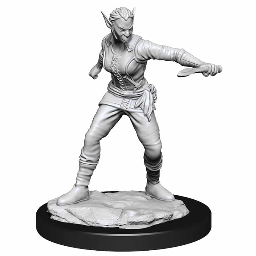 WK90148 Nolzur's Marvelous Miniatures Shifter Rogue Female Wave 13 image 0